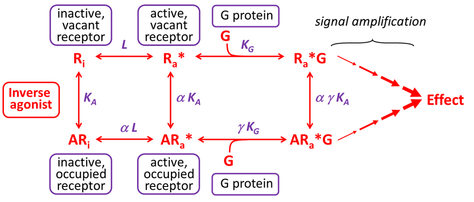 Inversse Agonist Chart